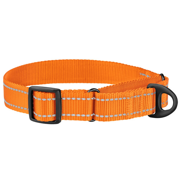 Нашийник для собак Мартінґейл Bronzedog Active нейлоновий зі світловідбиттям оранжевий