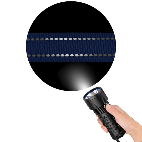 Нашийник для собак Мартінґейл Bronzedog Active нейлоновий зі світловідбиттям фіолетовий