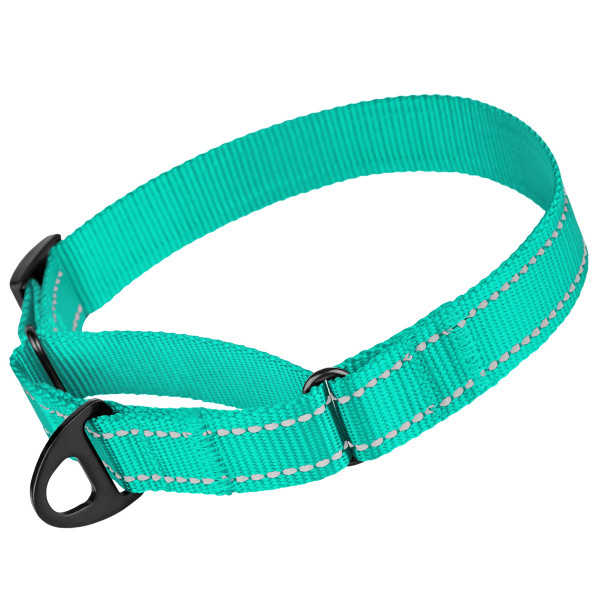 Нашийник для собак Мартінґейл Bronzedog Active нейлоновий зі світловідбиттям Ментоловий