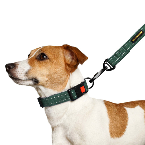 Нашийник для собак Barksi Сotton рефлекторний брезент зелений