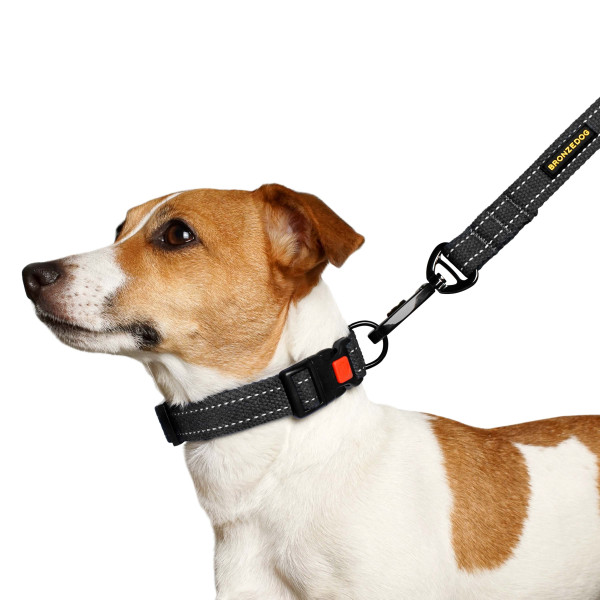 Нашийник для собак Barksi Сotton рефлекторний брезент Графіт