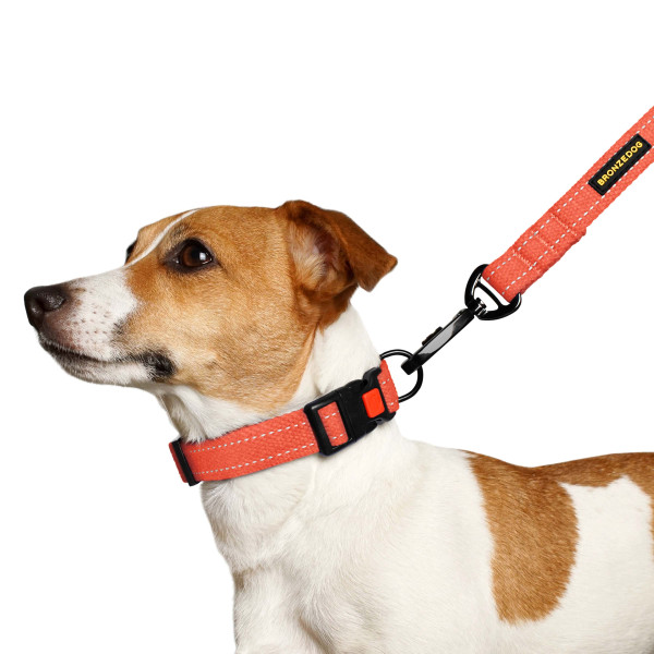 Нашийник для собак Barksi Сotton рефлекторний брезент Помаранчевий