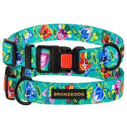Нашийник для Собак BronzeDog Urban Folk нейлоновий з пластиковою пряжкою ментоловий