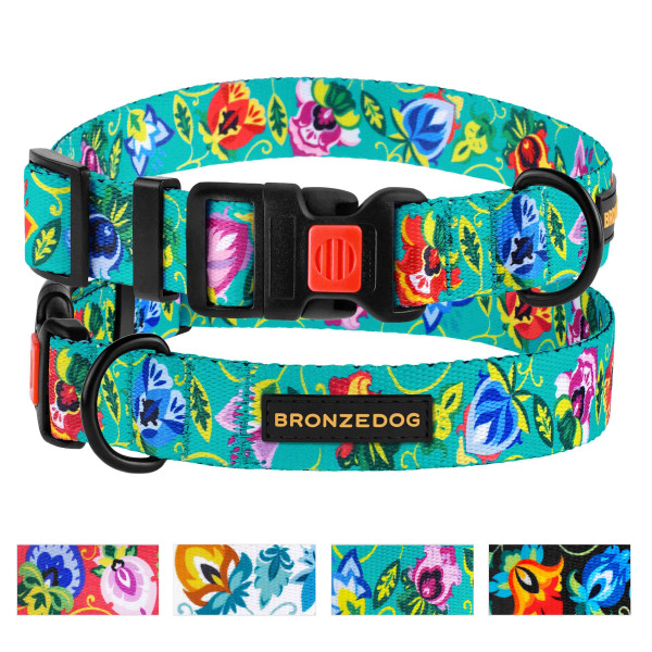 Нашийник для Собак BronzeDog Urban Folk нейлоновий з пластиковою пряжкою ментоловий