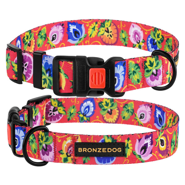 Нашийник для Собак BronzeDog Urban Folk нейлоновий з пластиковою пряжкою кораловий
