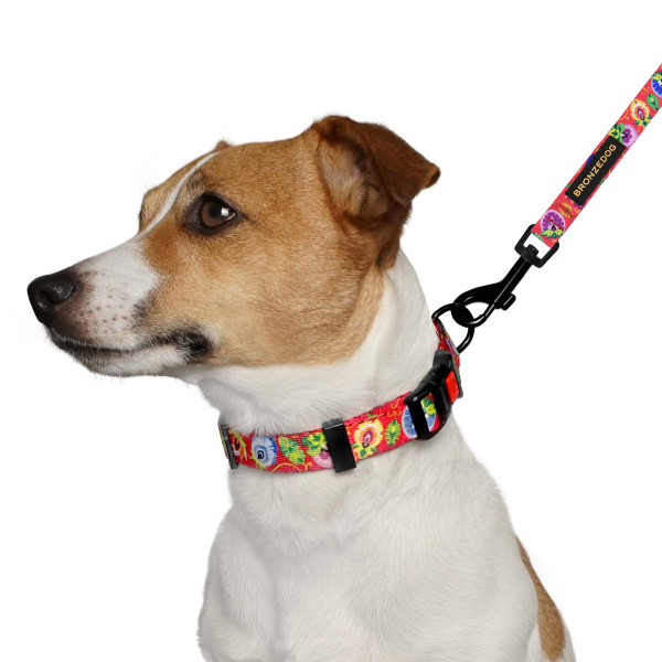 Нашийник для Собак BronzeDog Urban Folk нейлоновий з пластиковою пряжкою кораловий