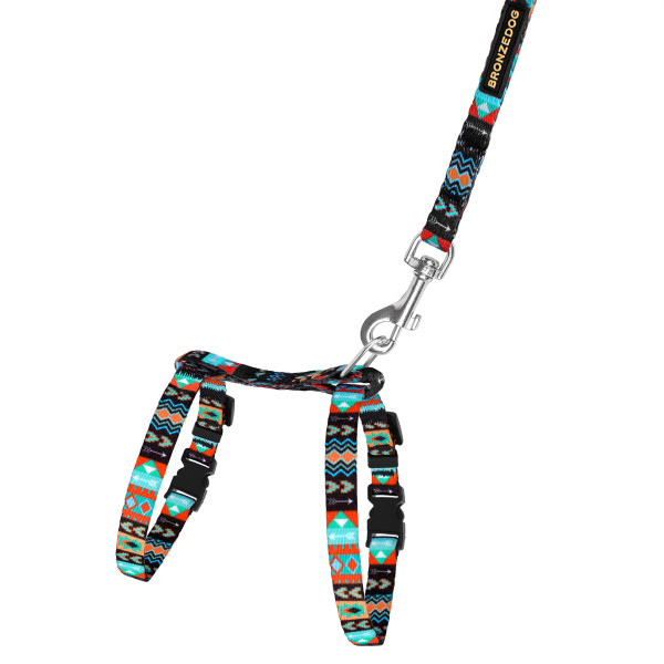 Шлея з Поводком для Котів та Дрібних Собак BronzeDog Urban Ацтеки