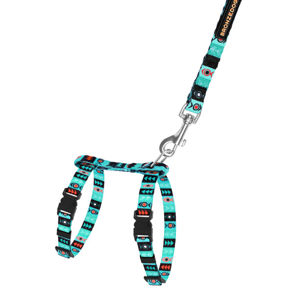 Шлея з Поводком для Котів та Дрібних Собак BronzeDog Urban Інки