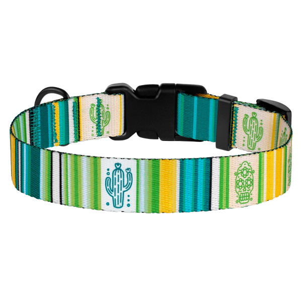 Нашийник для Собак BronzeDog Urban West Нейлоновий з Пластиковою Пряжкою Салатовий