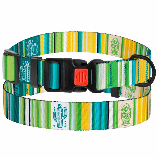 Нашийник для Собак BronzeDog Urban West Нейлоновий з Пластиковою Пряжкою Салатовий