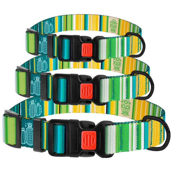 Нашийник для Собак BronzeDog Urban West Нейлоновий з Пластиковою Пряжкою Салатовий