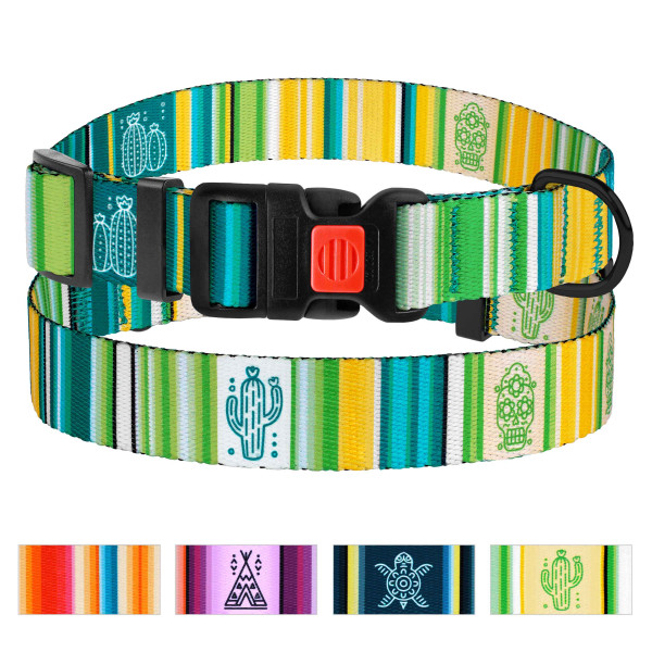 Нашийник для Собак BronzeDog Urban West Нейлоновий з Пластиковою Пряжкою Салатовий