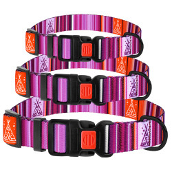 Нашийник для Собак BronzeDog Urban West Нейлоновий з Пластиковою Пряжкою Фіолетовий