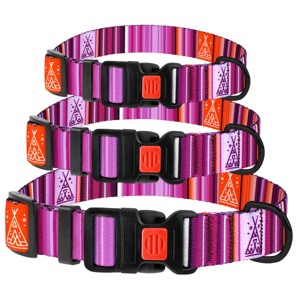 Нашийник для Собак BronzeDog Urban West Нейлоновий з Пластиковою Пряжкою Фіолетовий