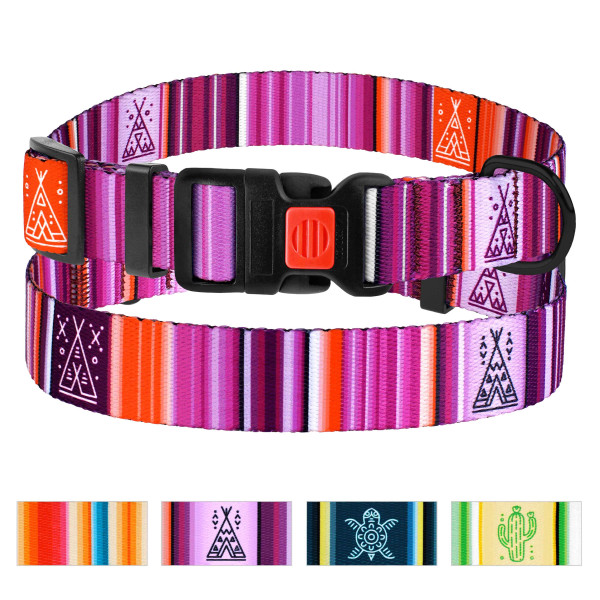 Нашийник для Собак BronzeDog Urban West Нейлоновий з Пластиковою Пряжкою Фіолетовий