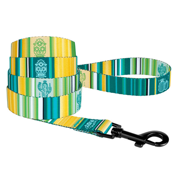 Повідець для Собак BronzeDog Urban West Нейлоновий Салатовий