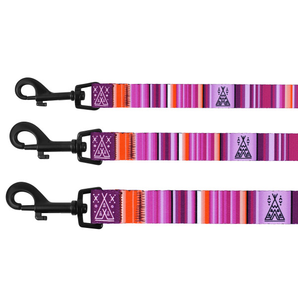 Повідець для Собак BronzeDog Urban West Нейлоновий Фіолетовий