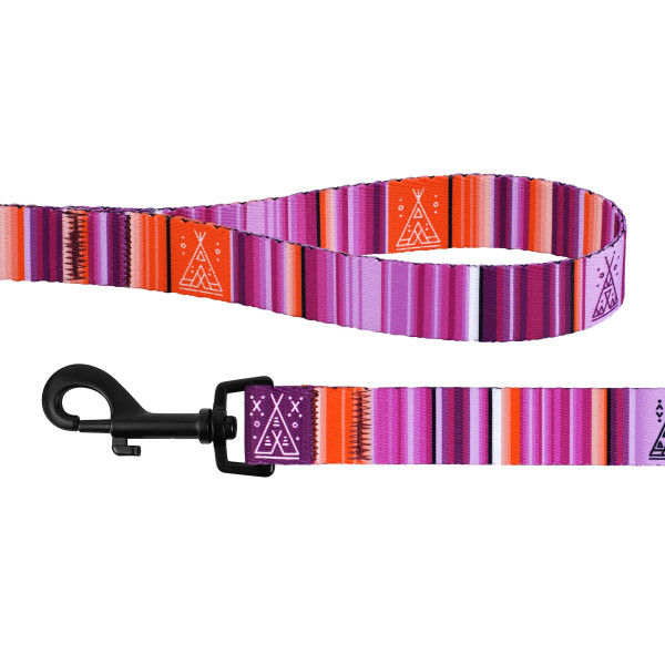 Повідець для Собак BronzeDog Urban West Нейлоновий Фіолетовий