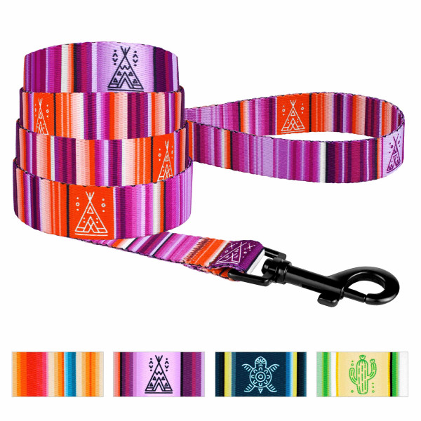 Повідець для Собак BronzeDog Urban West Нейлоновий Фіолетовий