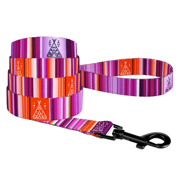 Повідець для Собак BronzeDog Urban West Нейлоновий Фіолетовий