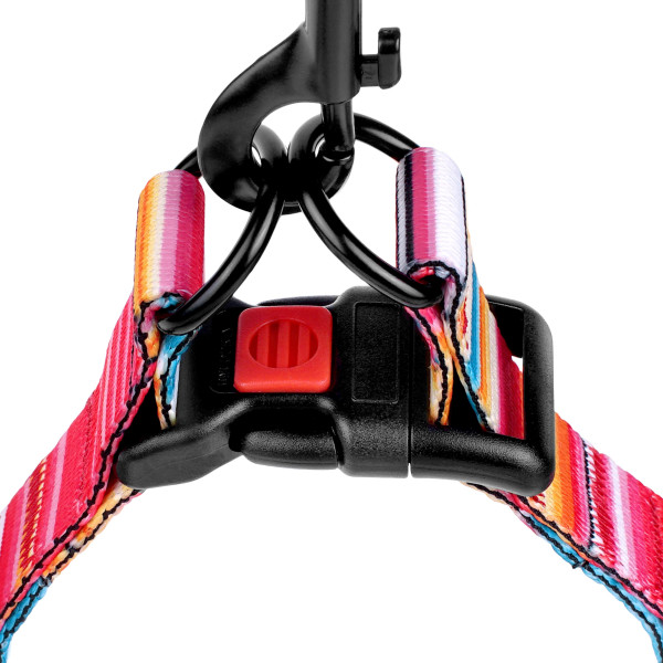 Шлея для Собак BronzeDog Urban West Нейлонова Червона