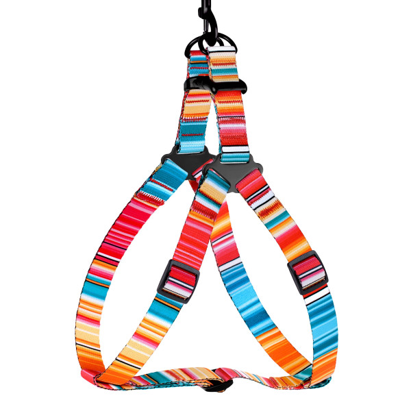 Шлея для Собак BronzeDog Urban West Нейлонова Червона