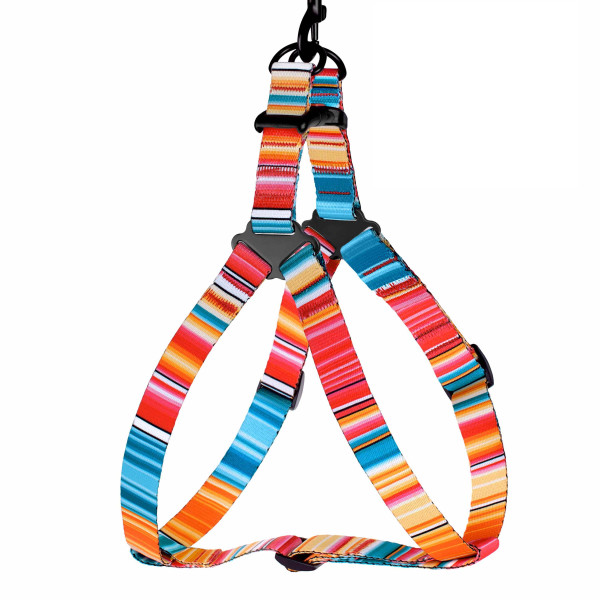 Шлея для Собак BronzeDog Urban West Нейлонова Червона