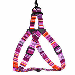 Шлея для Собак BronzeDog Urban West Нейлонова Фіолетова