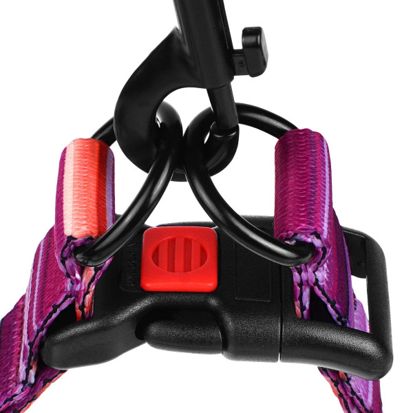 Шлея для Собак BronzeDog Urban West Нейлонова Фіолетова