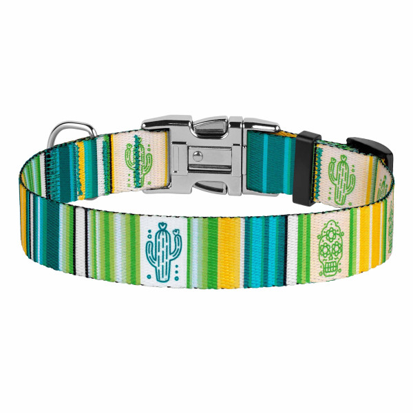 Нашийник для Собак BronzeDog Urban West Нейлоновий з Металевою Пряжкою Салатовий