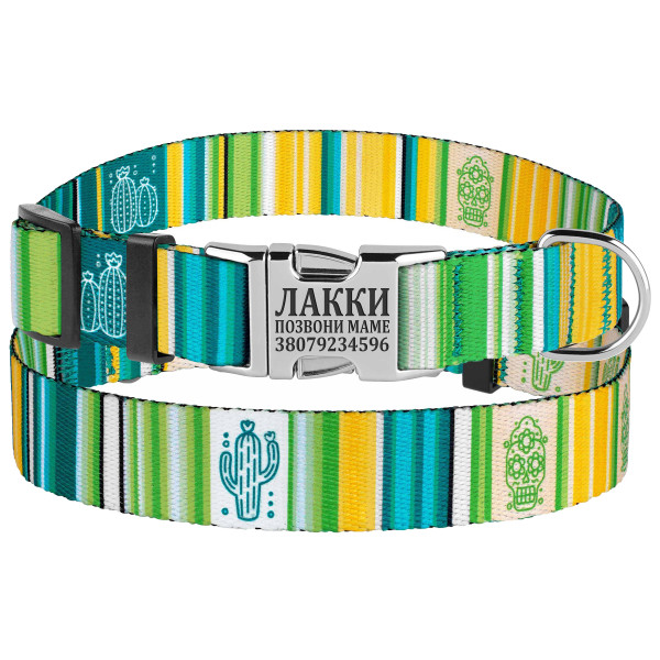 Нашийник для Собак BronzeDog Urban West Нейлоновий з Металевою Пряжкою Салатовий