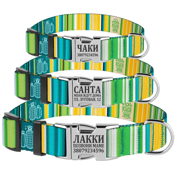 Нашийник для Собак BronzeDog Urban West Нейлоновий з Металевою Пряжкою Салатовий