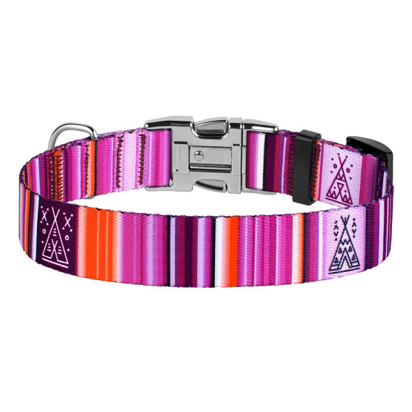 Нашийник для Собак BronzeDog Urban West Нейлоновий з Металевою Пряжкою Фіолетовий