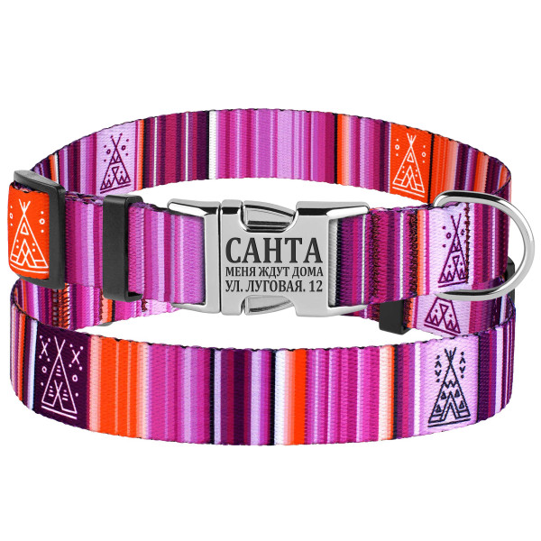 Нашийник для Собак BronzeDog Urban West Нейлоновий з Металевою Пряжкою Фіолетовий