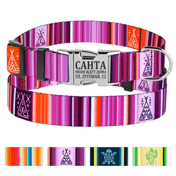 Нашийник для Собак BronzeDog Urban West Нейлоновий з Металевою Пряжкою Фіолетовий