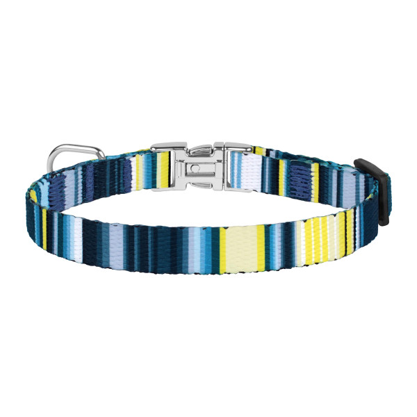 Нашийник для Собак Дрібних Порід BronzeDog Urban West Нейлоновий з Металевою Пряжкою Синій