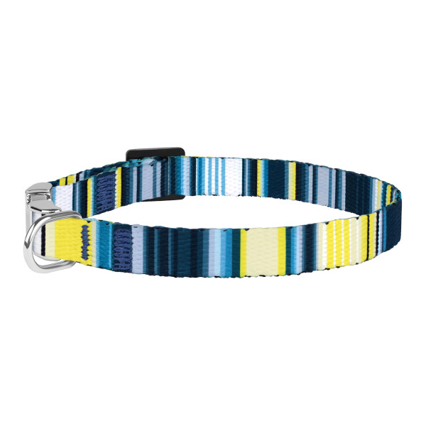 Нашийник для Собак Дрібних Порід BronzeDog Urban West Нейлоновий з Металевою Пряжкою Синій