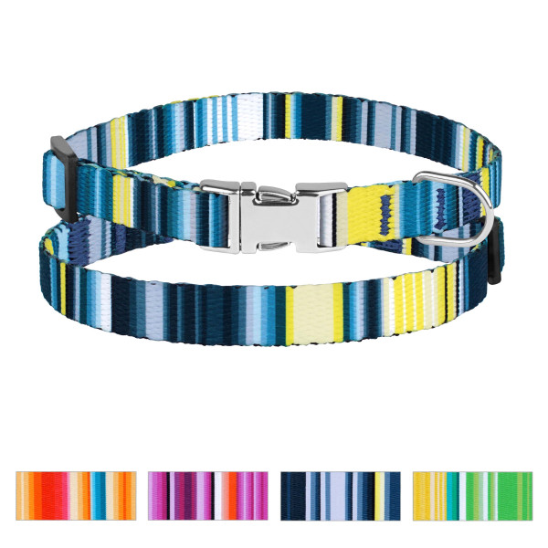 Нашийник для Собак Дрібних Порід BronzeDog Urban West Нейлоновий з Металевою Пряжкою Синій