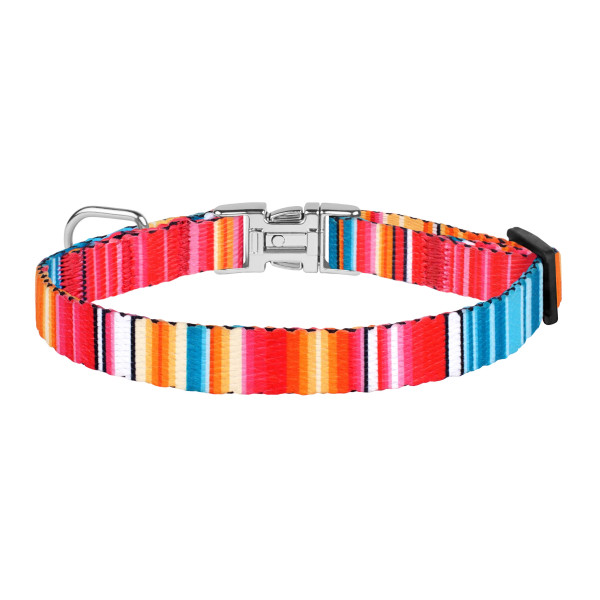 Нашийник для Собак Дрібних Порід BronzeDog Urban West Нейлоновий з Металевою Пряжкою Червоний