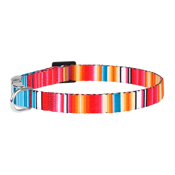 Нашийник для Собак Дрібних Порід BronzeDog Urban West Нейлоновий з Металевою Пряжкою Червоний