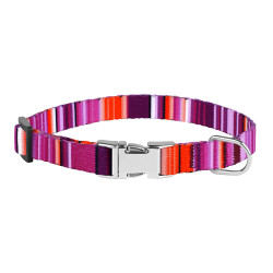 Нашийник для Собак Дрібних Порід BronzeDog Urban West Нейлоновий з Металевою Пряжкою Фіолетовий