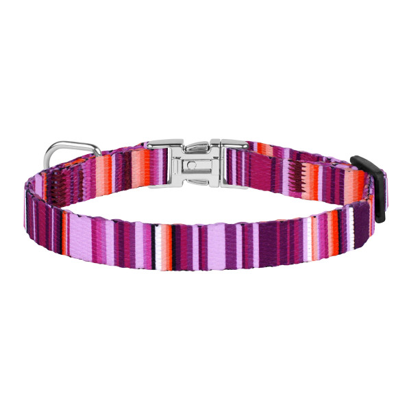 Нашийник для Собак Дрібних Порід BronzeDog Urban West Нейлоновий з Металевою Пряжкою Фіолетовий