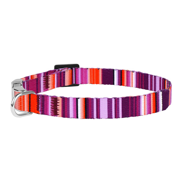 Нашийник для Собак Дрібних Порід BronzeDog Urban West Нейлоновий з Металевою Пряжкою Фіолетовий