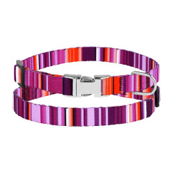 Нашийник для Собак Дрібних Порід BronzeDog Urban West Нейлоновий з Металевою Пряжкою Фіолетовий