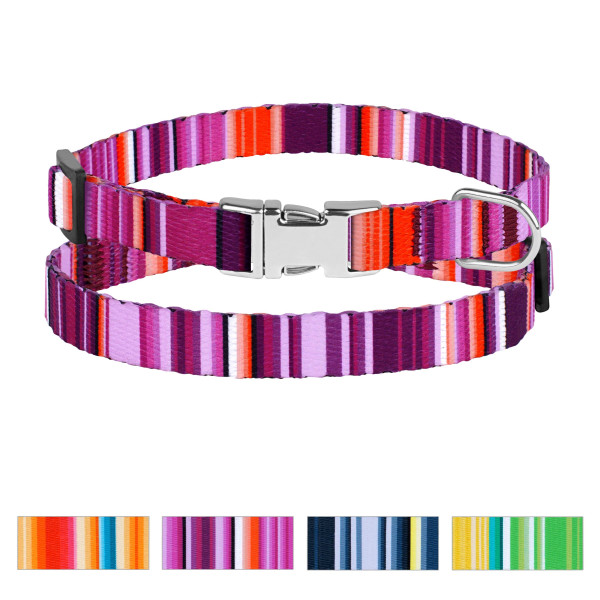 Нашийник для Собак Дрібних Порід BronzeDog Urban West Нейлоновий з Металевою Пряжкою Фіолетовий