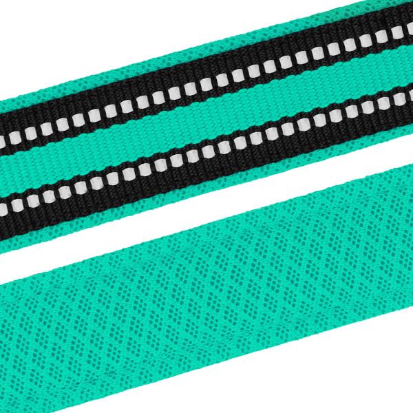 Нашийник для Собак BronzeDog Mesh з Пластиковою Пряжкою Ментоловий