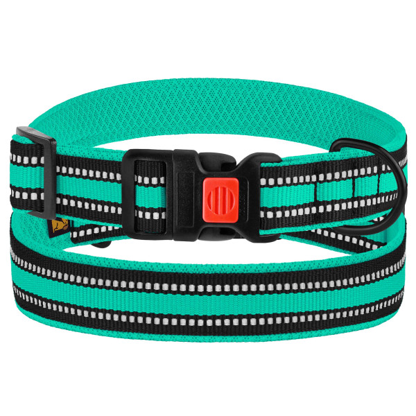 Нашийник для Собак BronzeDog Mesh з Пластиковою Пряжкою Ментоловий
