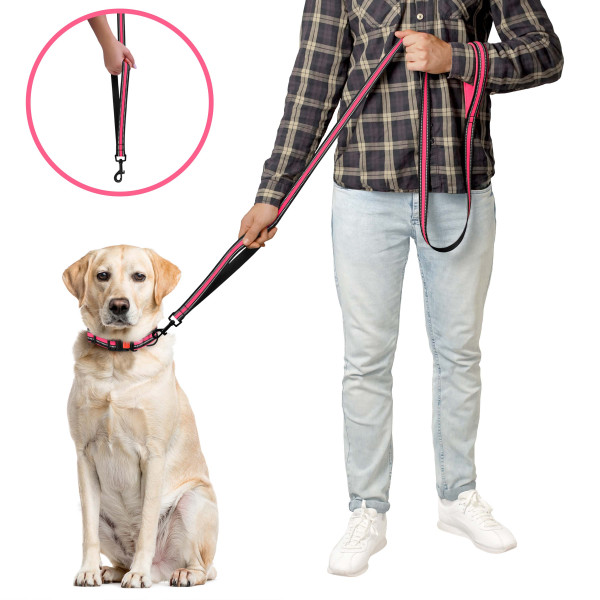 Повідець для Собак BronzeDog Mesh 2 в 1 Рожевий