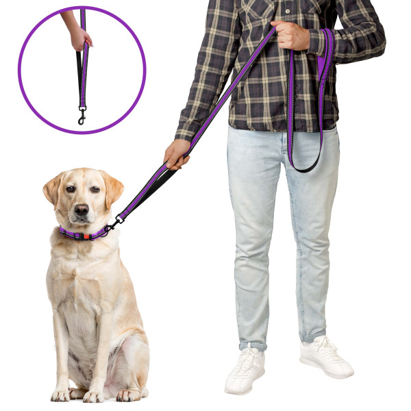 Повідець для Собак BronzeDog Mesh 2 в 1 Фіолетовий