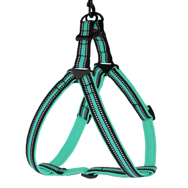 Шлея для Собак BronzeDog Mesh Стандарт Ментолова